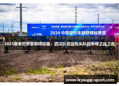 2025赛季世界攀岩锦标赛：武汉队迎战包头队的荣辱之战之夜