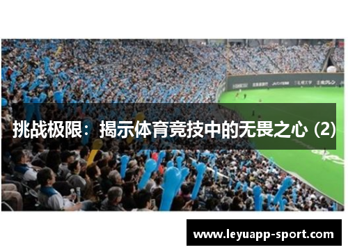 挑战极限：揭示体育竞技中的无畏之心 (2)