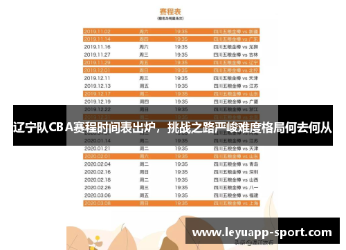 辽宁队CBA赛程时间表出炉，挑战之路严峻难度格局何去何从